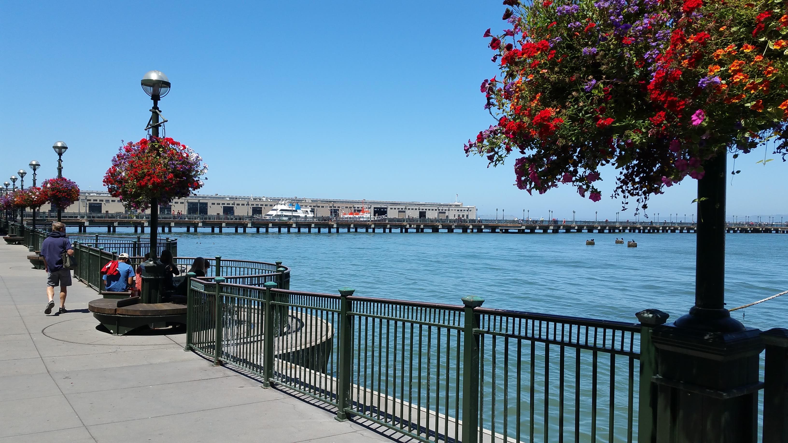 San Francisco – A Walk Along the Embarcadero and Fisherman’s Wharf | Diane Uke Shares